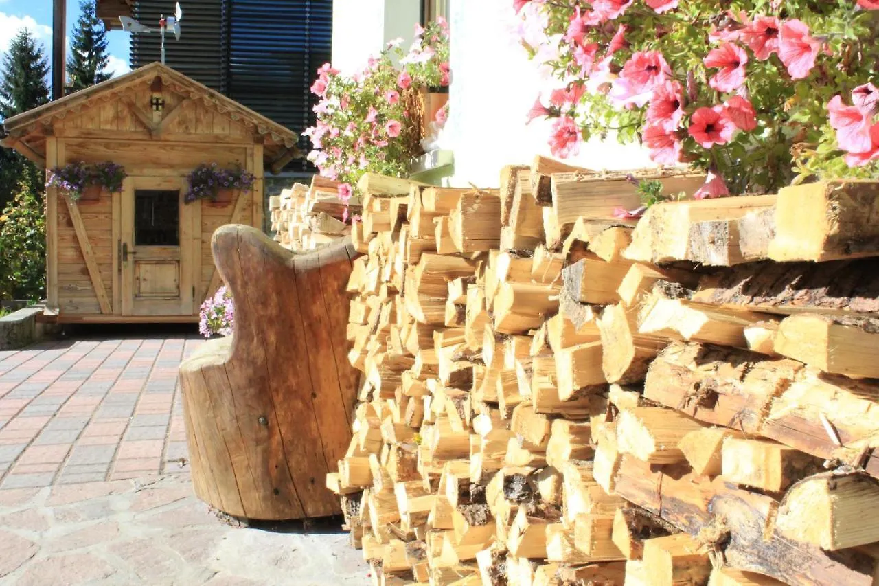 Garni Al Barance Hotel Selva di Cadore 0*,  Italy